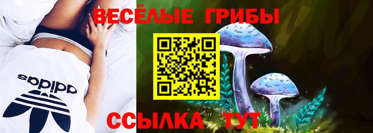 Галлюциногенные грибы мицелий  Вход с VPN  Галлюциногенные грибы ЛСД  Майкоп 